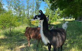 La Ferme des Lamas Dordogne